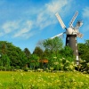 Windmill at Alford