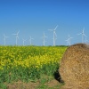 Wind farm Mablethorpe