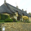 Thatched roof house