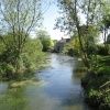 River Coln at Fairford