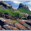 Lindisfarne Castle view.