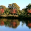 The Lake at Nidd. Autumn is starting to show its colours.