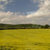 Countryside near Ledbury