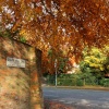 Snuff Mill Lane Cottingham Autumn