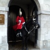On Guard at Whitehall