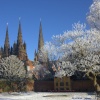 The Cathedral Spires from The Memorial Garden