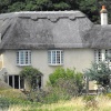 Thatched roof house