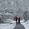 Winter, Epsom Common