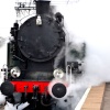 Steam Engine arriving at the station