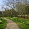 Peterhouse College Gardens