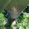 Maidstone Footbridge