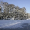 A frozen Lymm dam
