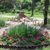 Abbotsbury Gardens