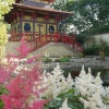 Peasholm Park Japanese Garden