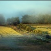 Mist over the Weaver