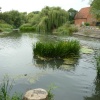 The Mill Pond For Cobham Mill