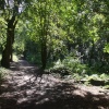 Track through Hartsholme Park, Lincoln