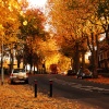 Autumn in Brockley