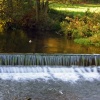 River Dove, Ilam park