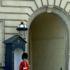 Palace Guard!