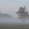 Fog approaching