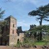Acton Burnell - the Castle