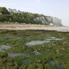 Tide's out! St Margaret's Bay