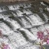 Close up of the Weir at Bretton near Wakefield