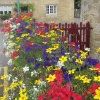 Podington flower garden