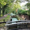 Basinstoke Canal  ( in all it's green glory )