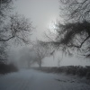 Newnham Hill Winter