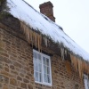 Frozen thatch