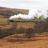 Steam Train, Pickering
