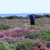 Wonder what this man was looking for on Dunwich Heath