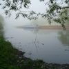 Early morning mist in Watermead Country Park