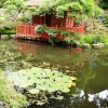 Japanese Garden, Compton Acres