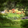 Greenwich Park, Flower Garden
