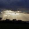 Dark Sky near Pendleton