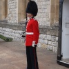 Guardsman On Duty
