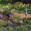 Stour Valley Spring, Shillingstone