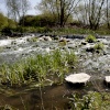River at Biss Meadows Country Park