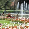 Jephson Gardens in Spring, Royal Leamington Spa