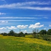 Fields near Malvern Park,Solihull 2