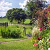 A Dorset Garden, Shillingstone.