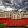 Remembered - Tower of London