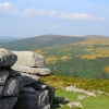 Dartmoor views