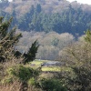 Newlands View