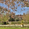 Lewes Grange Under Blossom