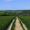 South Downs way to Alfriston
