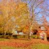 Newnham in Autumn